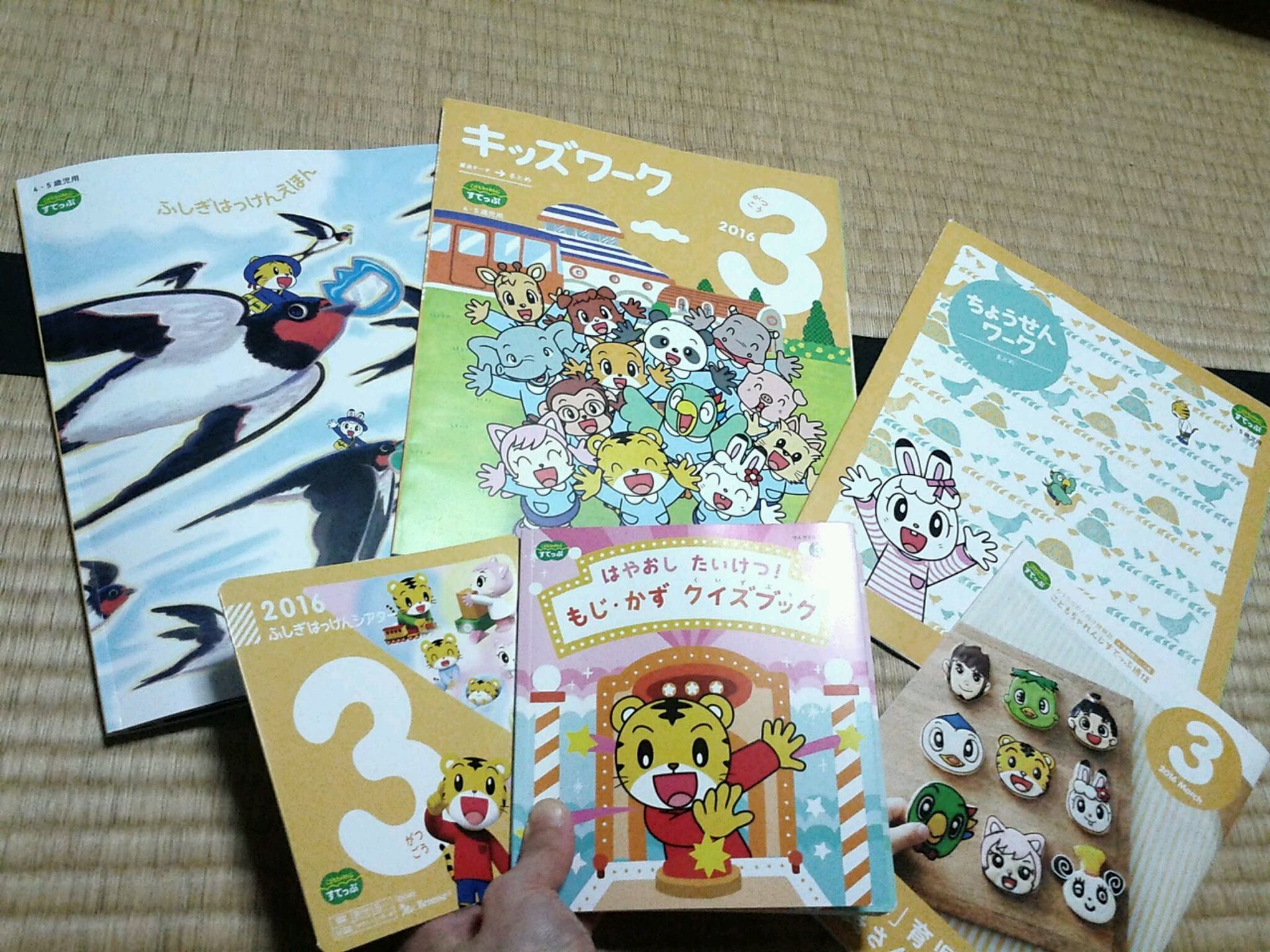 こどもちゃれんじすてっぷ 3月号の中身: 小学4年生 ポピーなど自宅学習